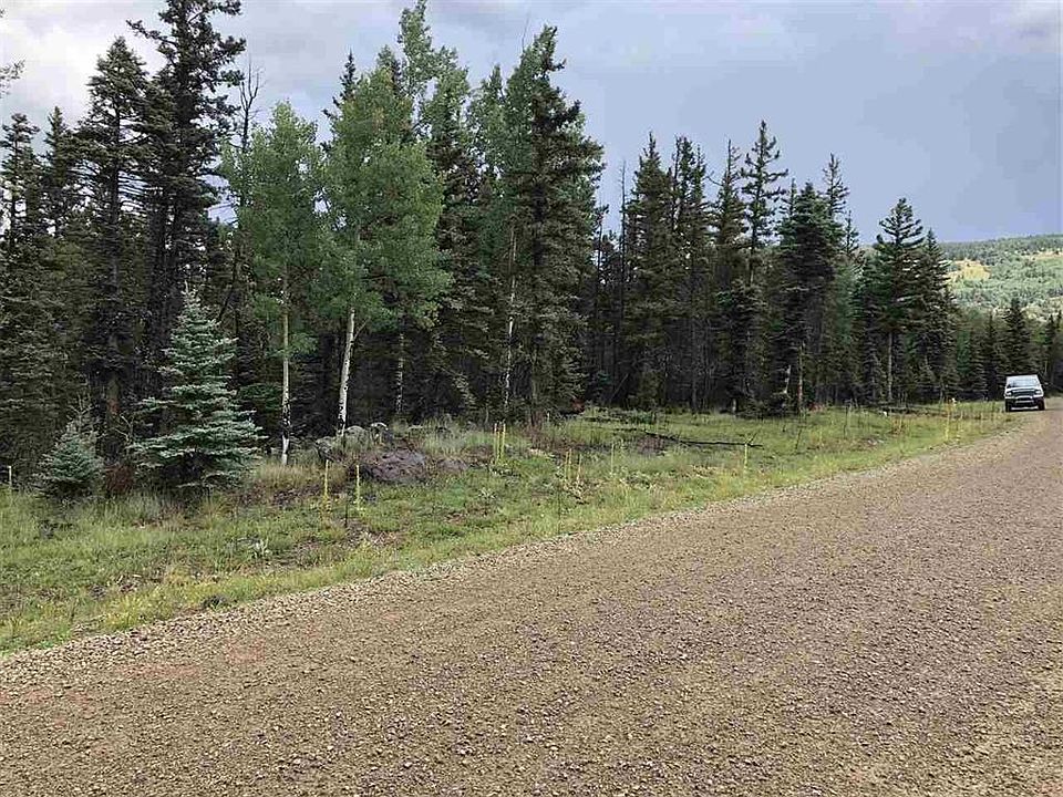 98 Elk Mdw, Angel Fire, NM 87710 MLS 109176 Zillow