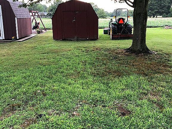 Shed