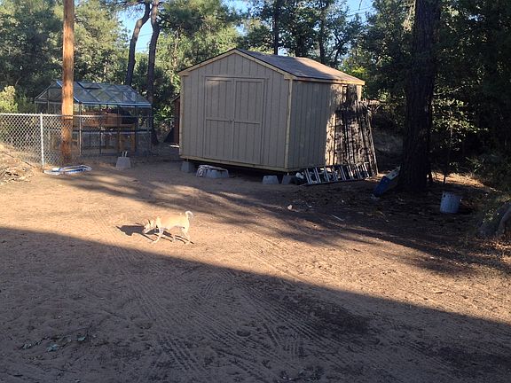 10x10 Shed