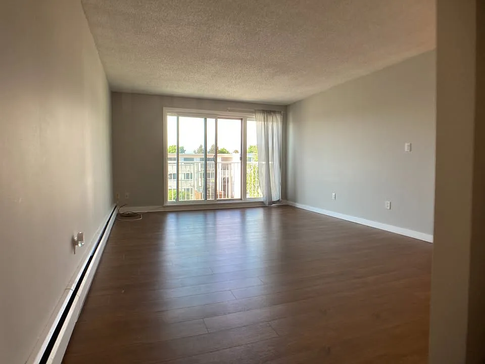 7240 Lindsay Rd — Photo 3