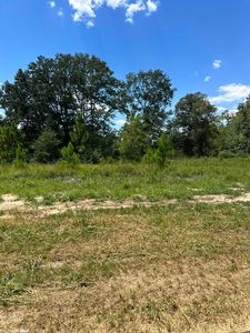 0 Hampton Ridge Ct Lot 22, Mobile, AL, 36608