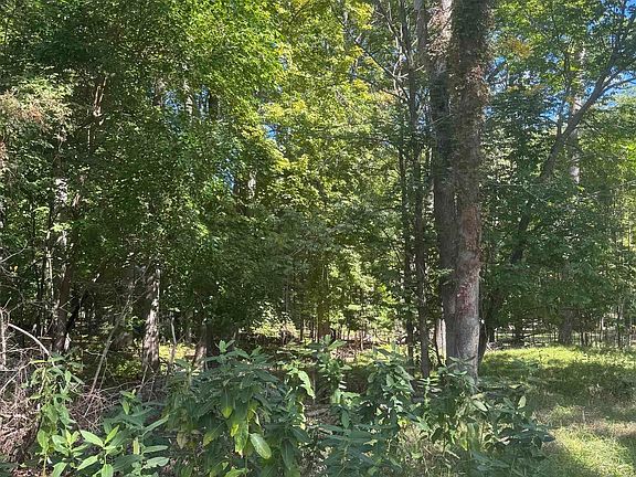 2nd image of 0 Campbell Rd