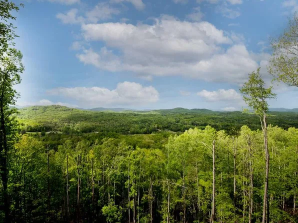 25 Scouts Overlook Ln, Morganton, GA 30560