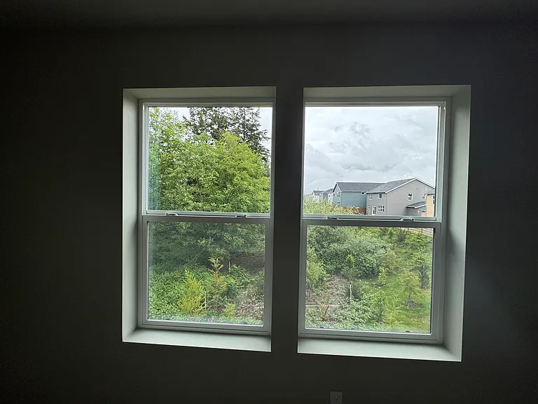 Master bedroom window view.