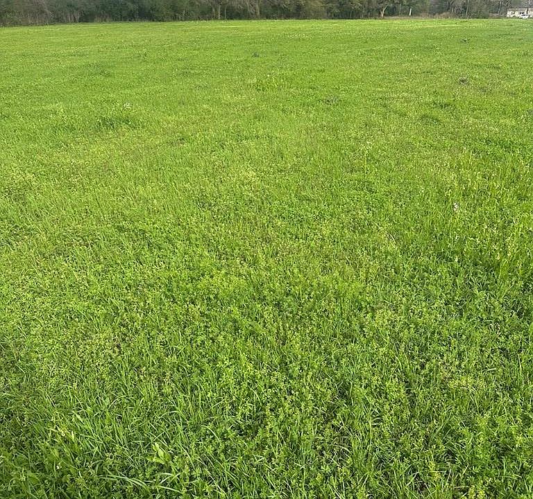2nd image of 0 Lower Ovett Rd