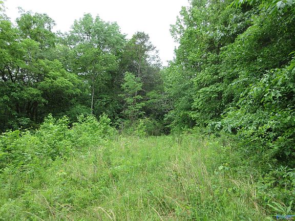 2nd image of 1976 County Road 401