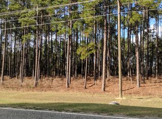 Old Savannah Rd, Vidalia, GA 30474