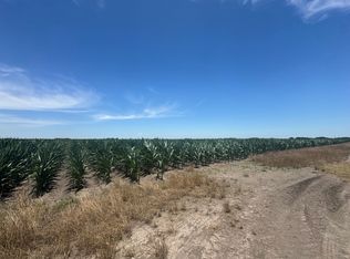 County Road 335 Rd, Louise, TX 77455