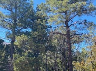 2600 N Eagle View Cir, Show Low, AZ 85901