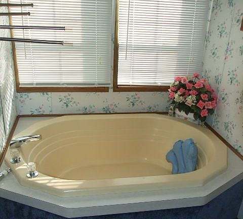 5th image of 5548 Wild Pine Ln