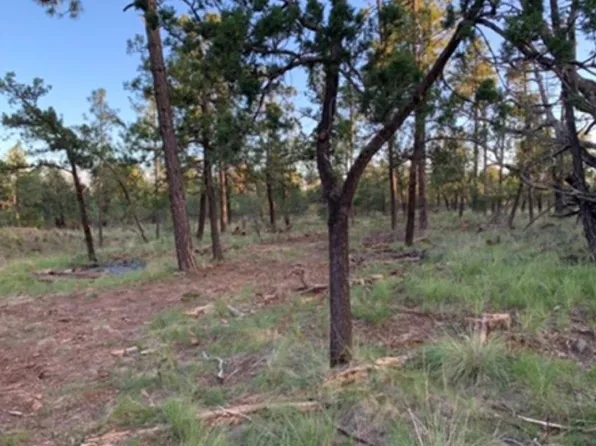 Bagdad Dr, Timberon, NM 88350
