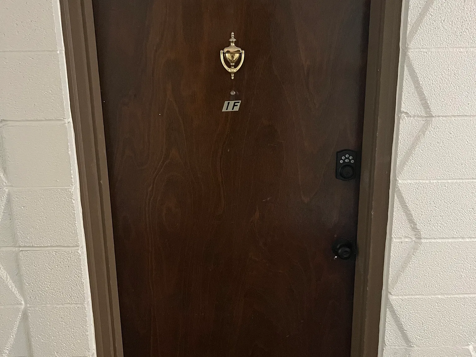 1 bed, 550 sqft, $900 — Photo 2