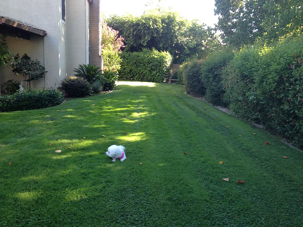 Property photo 5