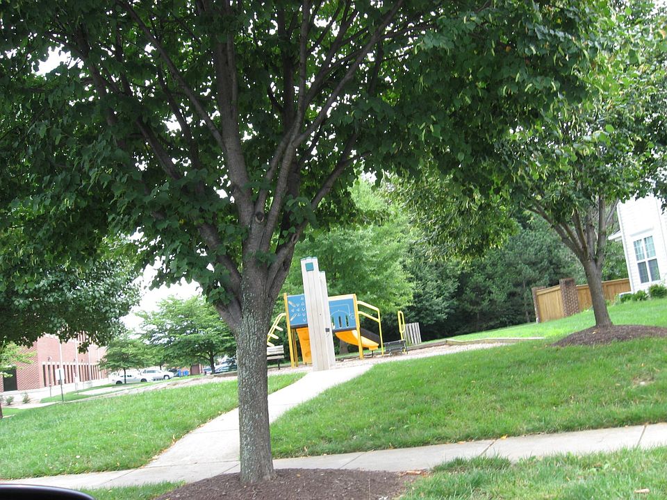 2nd image of 129 Mountain Creek Cir