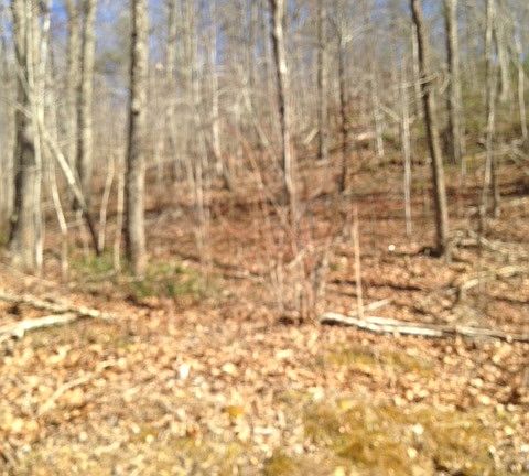 3rd image of 836 Buck Holw