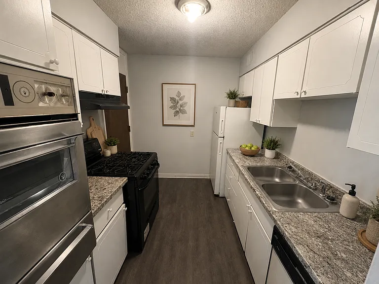 151 N Belvedere Blvd #12 — Photo 5