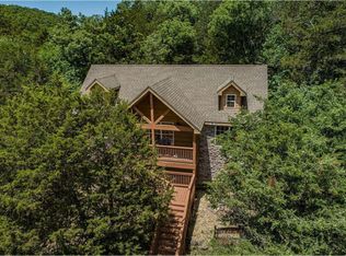 385 Baldknobber #64, Reeds Spring, MO 65737