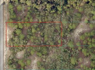 Tbd Sw Breezy Point Dr, Dunnellon, FL 34431