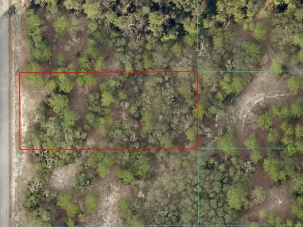 Tbd Sw Breezy Point Dr, Dunnellon, FL 34431