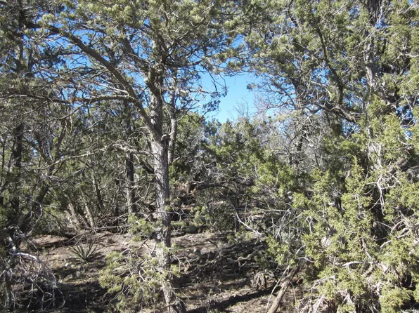 25 Jon Kitsch Rd, Tijeras, NM 87059