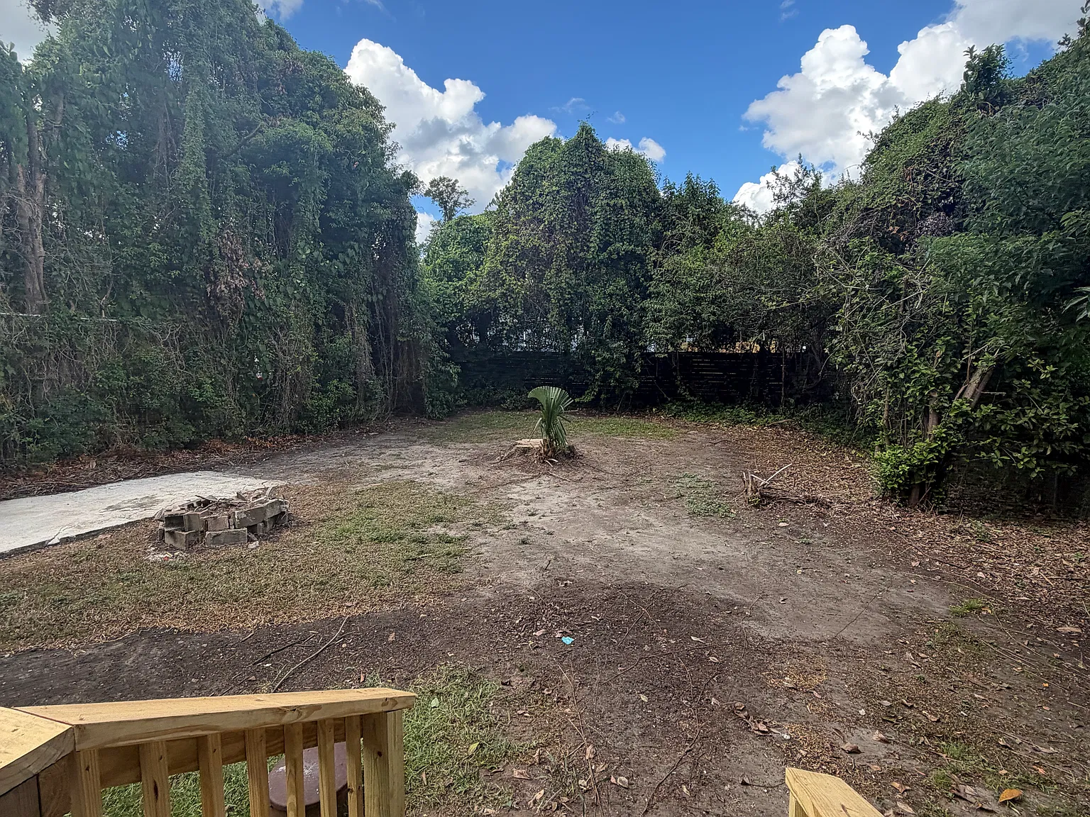 724 W Brevard Street — Photo 4