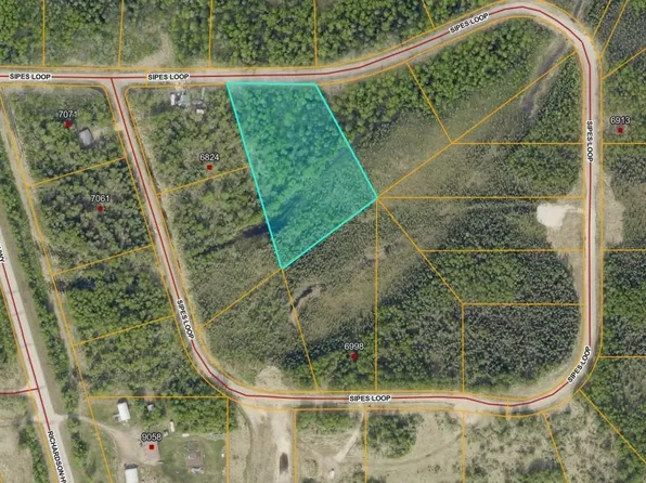 L25 Sipes Dr, Salcha, AK 99714