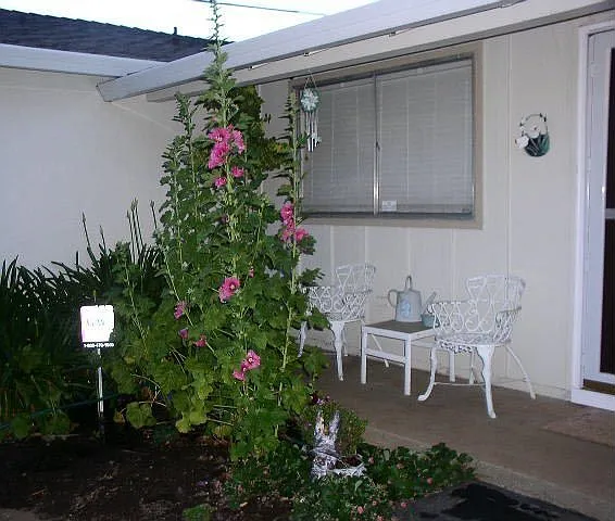 10531 Marcel Way photo 1