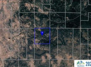 534-700 Dixie Valley Rd, Bieber, CA 96009