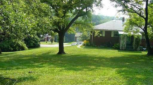 Scenic Back Yard