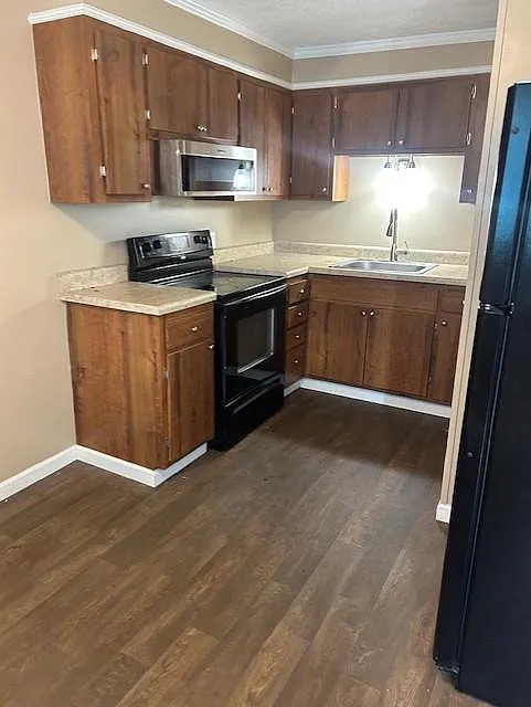 1 bed, 750 sqft, $795 — Photo 2