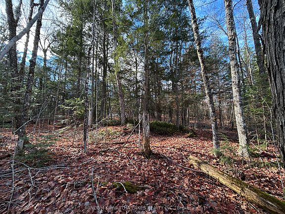 4th image of 0 Mill Lake Rd