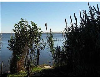 2nd image of 206 Cypress Dr