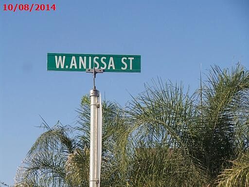 5th image of 781 W Anissa Ct
