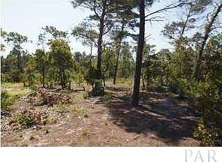 1st image of Ponderosa Dr