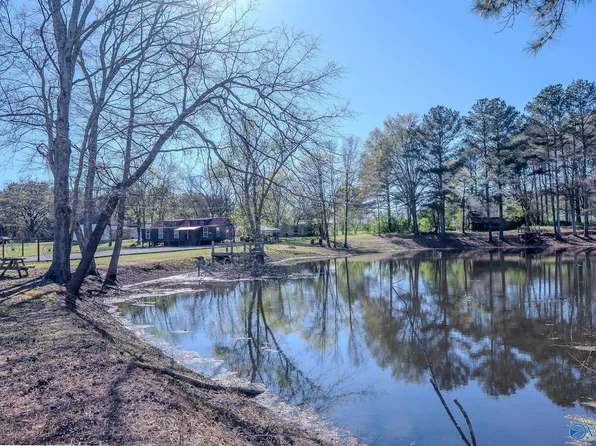 11243 County Road 87, Moulton, AL 35650