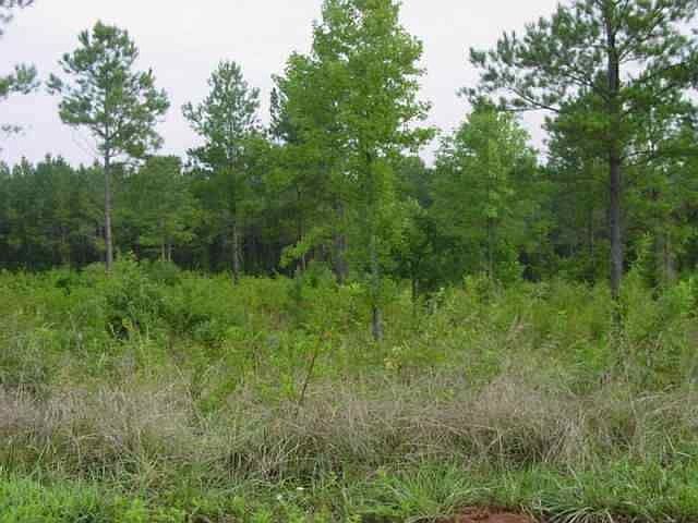 2nd image of 191 Rivers Edge Ln