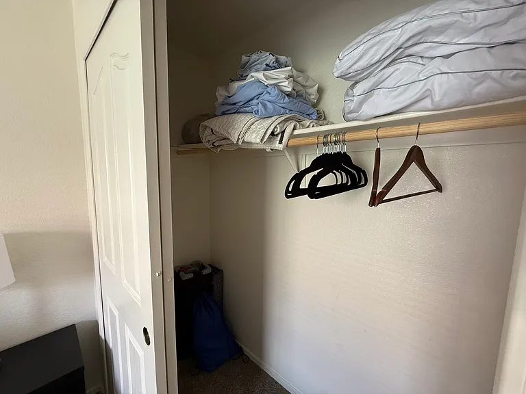 Guest bedroom closet