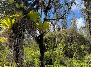 16-2132 Hopue Rd LOT 3147, Kurtistown, HI 96760