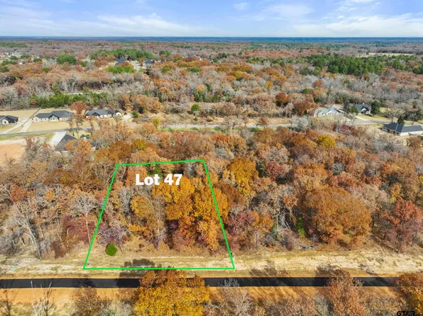 Private Road 6306 Lot 47, Mineola, TX 75773