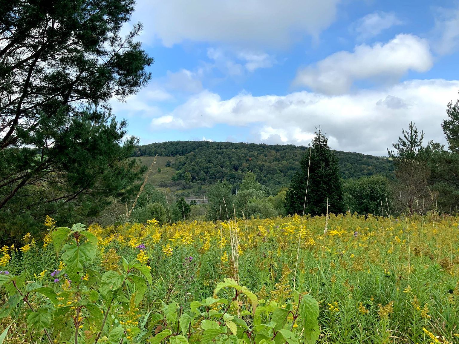 0 Cuyler Hill Rd 1, Truxton, NY 13158 Zillow