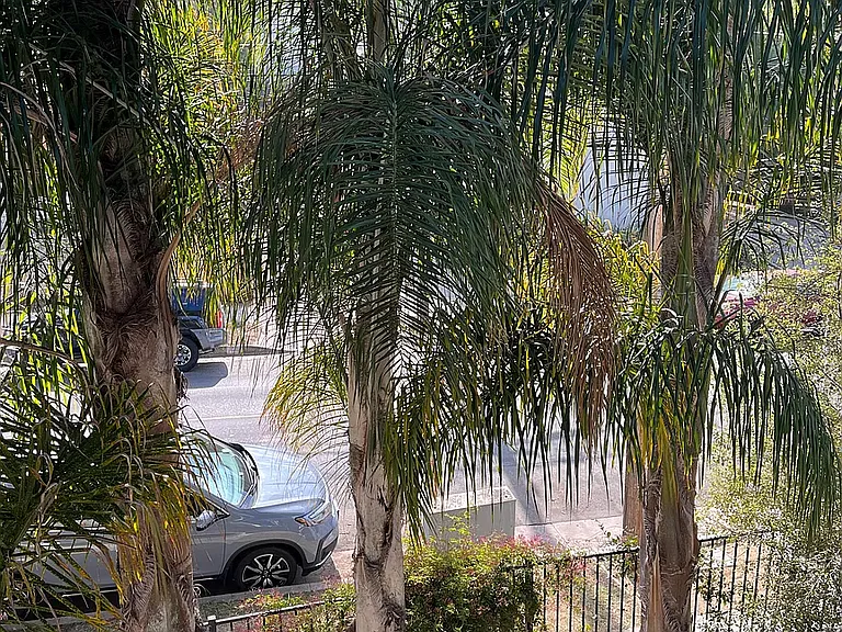 1631 1/2 Morton Ave — Photo 2
