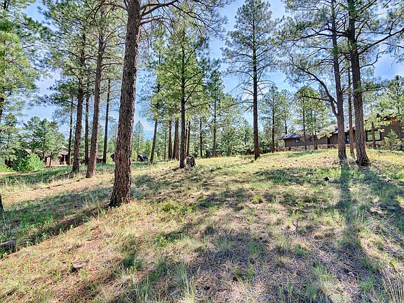 4th image of 1873 E Myrtlewood Ct