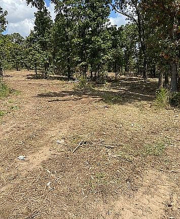 2nd image of 32539 Meadowood Dr