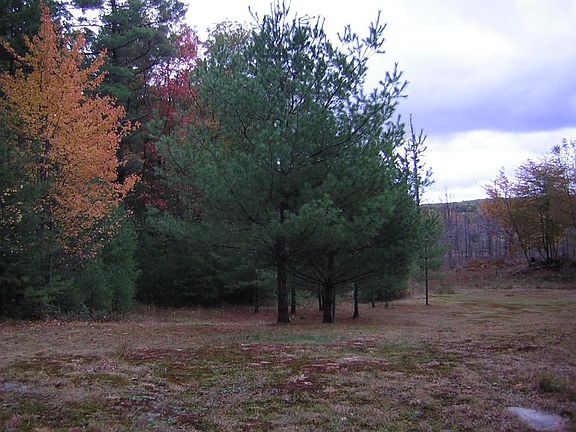 leads to open meadow