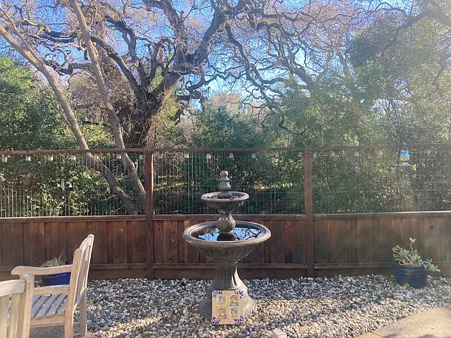 Backyard-peaceful and serene.