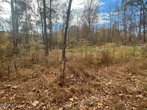 32 McCullough Ln, Bulls Gap, TN 37711