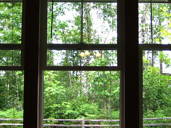 View from formal living room