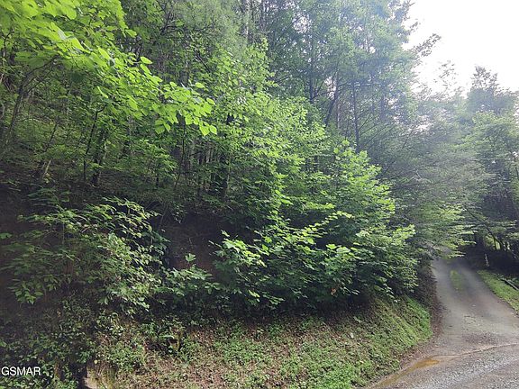 3rd image of 0 Old Hag Hollow Way Lot 16