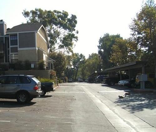 4th image of 1529 S Raitt St #18