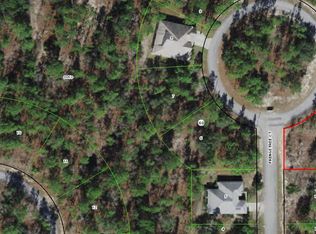 11 Fringetree Ct, Homosassa, FL 34446